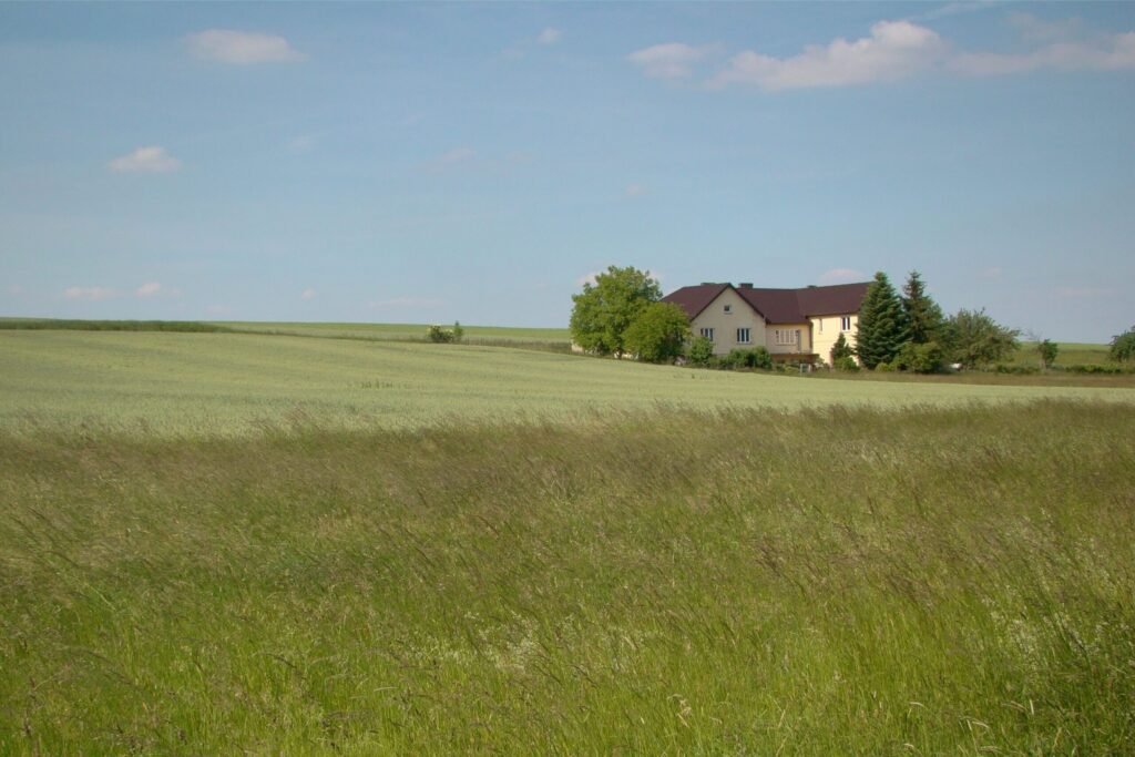 Farmhouse in a field